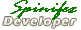 Developer
